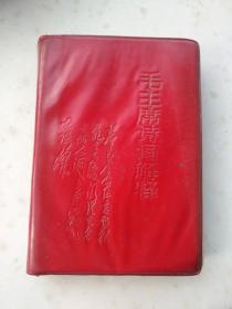 红1042、毛主席诗词解释,新北大傲霜雪战斗