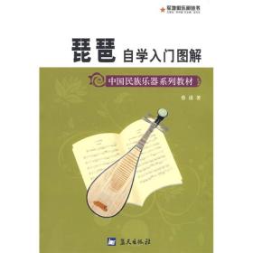 琵琶自学入门图解