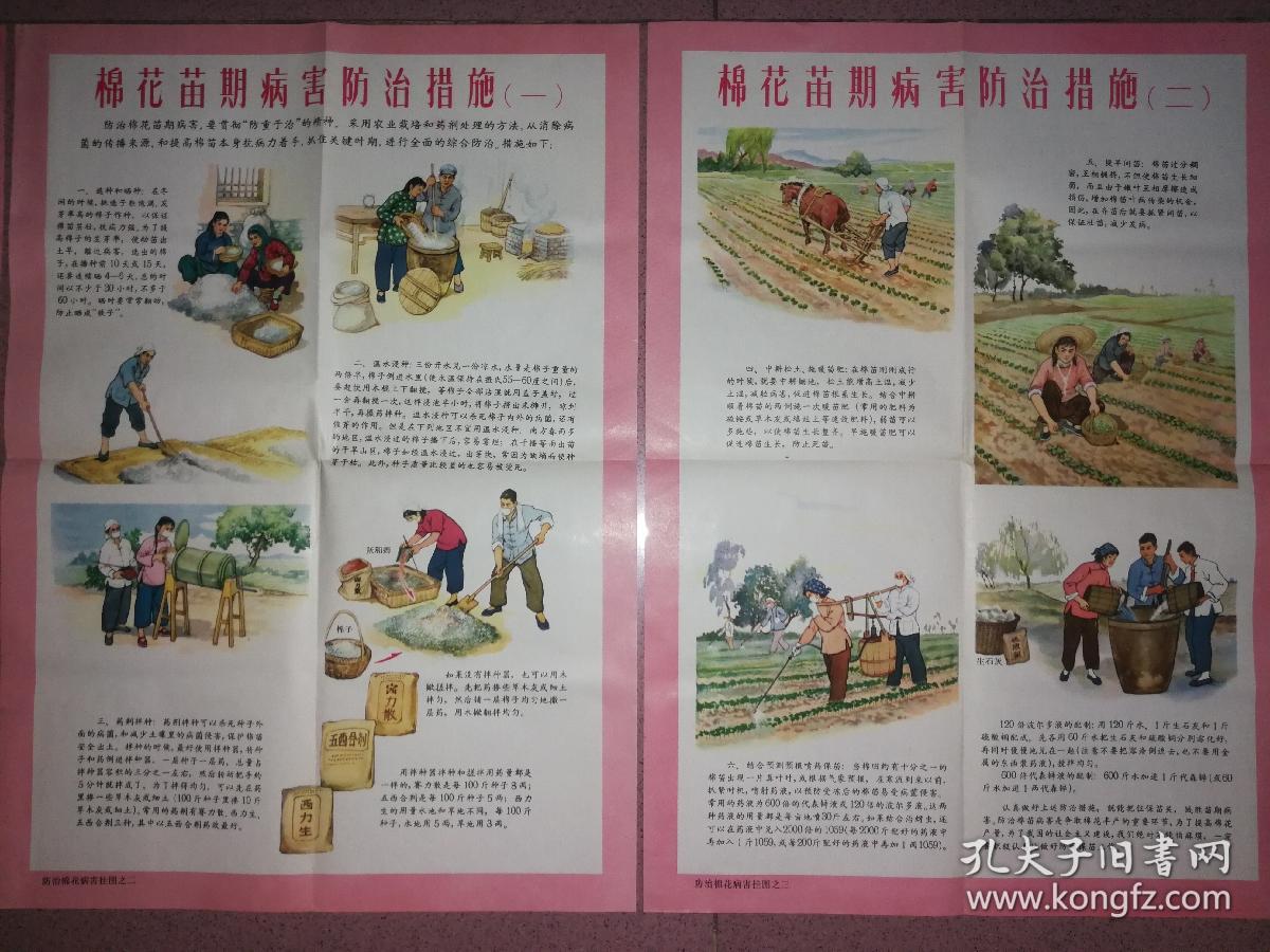 六十年代农村农业宣传画