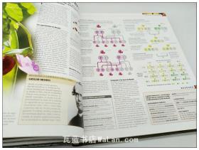 科技发展史 科学史 西班牙语版 Ciencia (la Gui