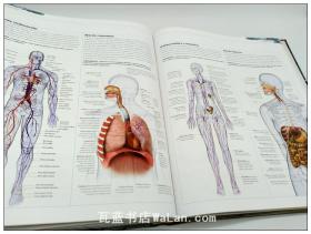 科技发展史 科学史 西班牙语版 Ciencia (la Gui