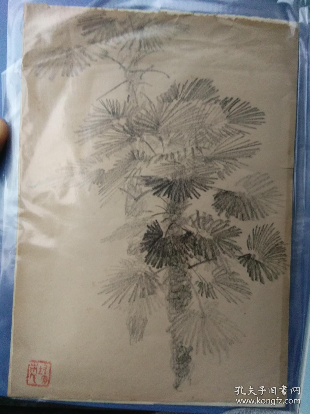 端木梦锡七八十年代铅笔速写稿(棕榈树)一件,包快递.