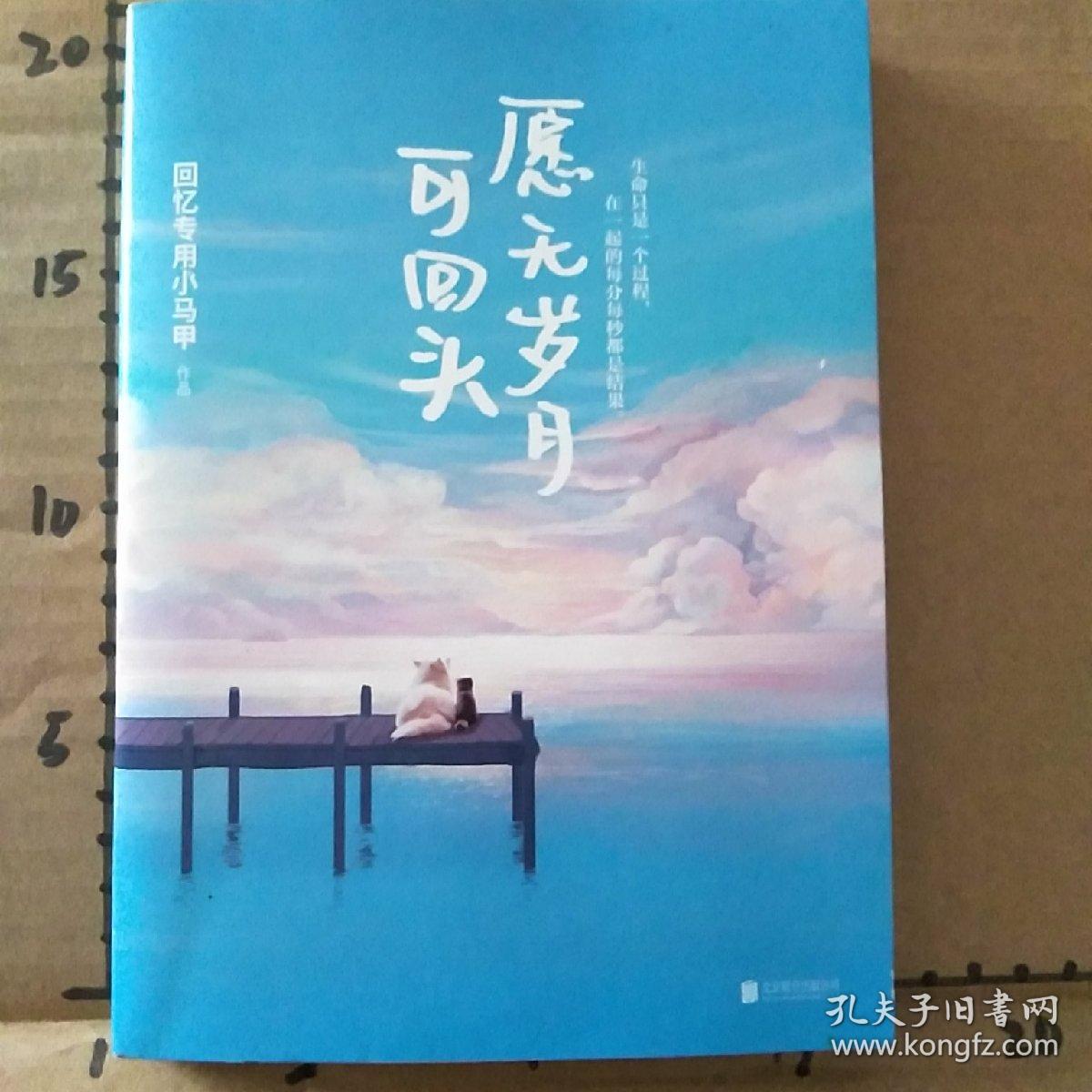 愿无岁月可回头