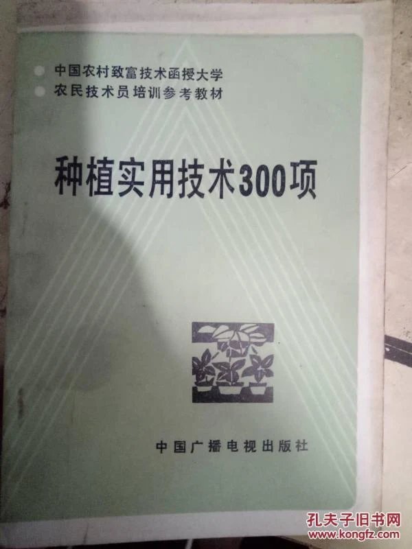 嘿，姐妹你听过“技术流”穿书吗？