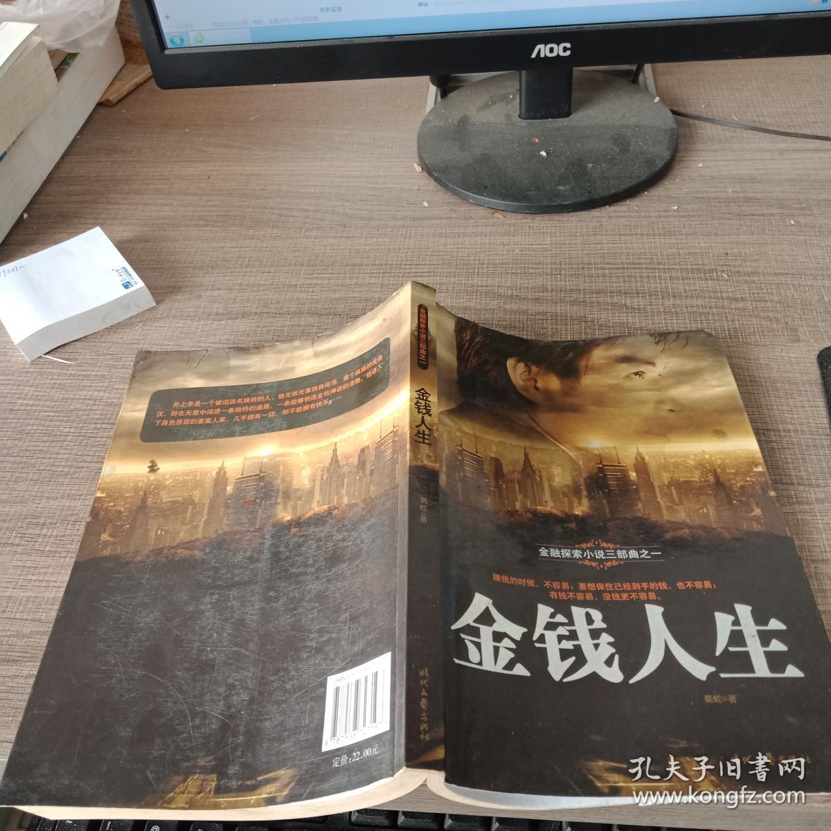 金融探索小说三部曲之一:金钱人生