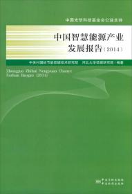 中国智慧能源产业发展报告（2014）
