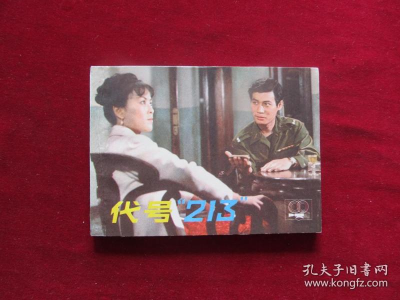 代号213