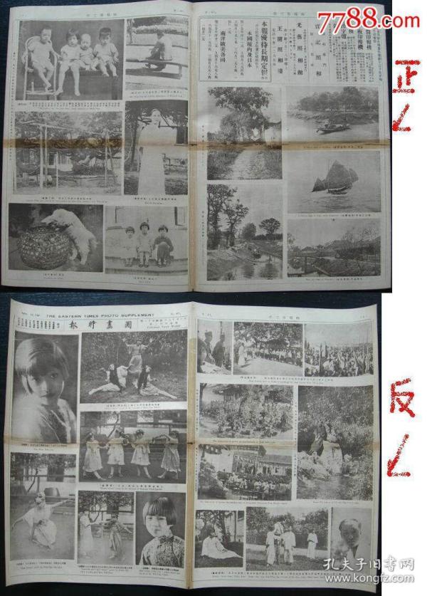淑江市人口_人口普查(2)
