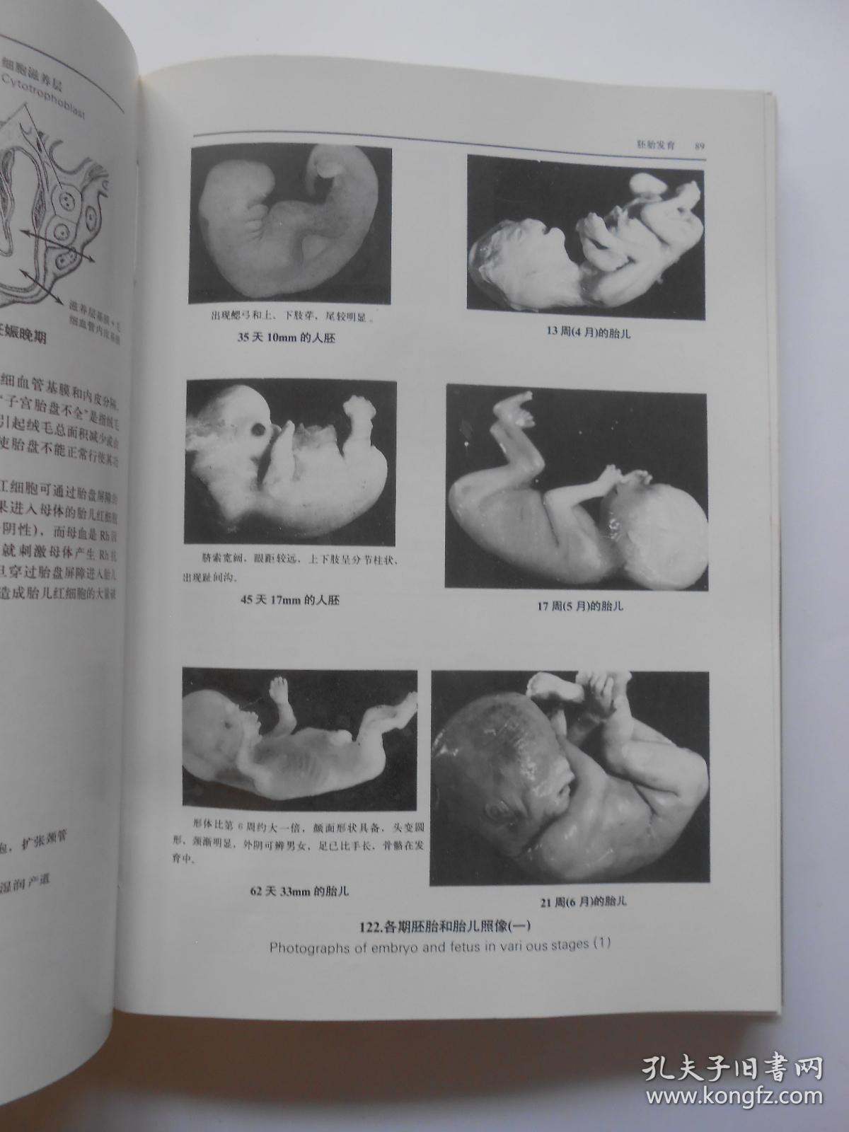 人类生殖调节图谱