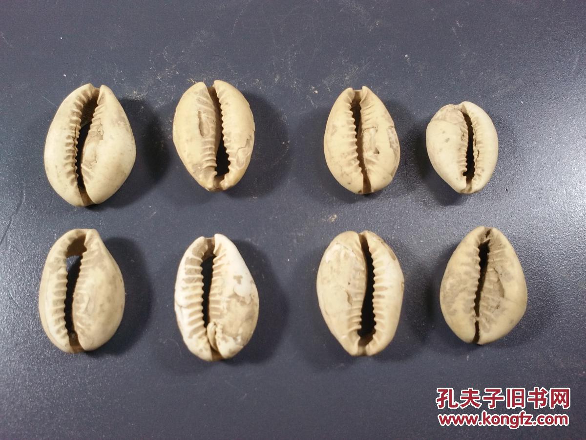 古贝壳币一组(8个)