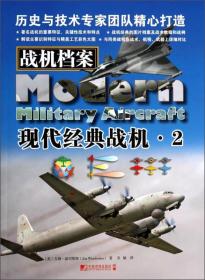 战机档案：现代经典战机（2）