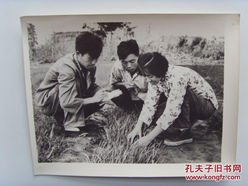 1960年老照片 麻面厚相纸:【※山东掖县(莱州),西由公社主任--徐建春