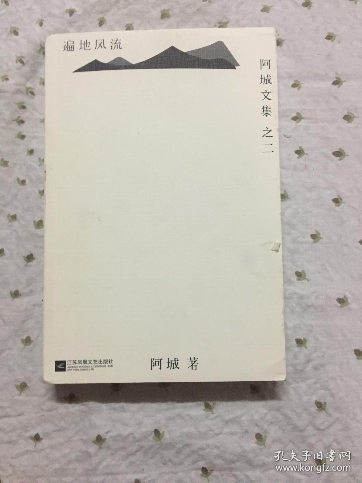 遍地风流 阿城