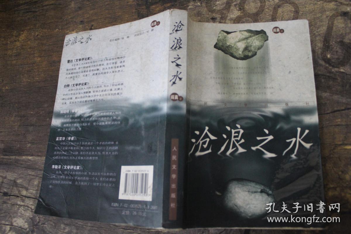 沧浪之水(阎真 著)
