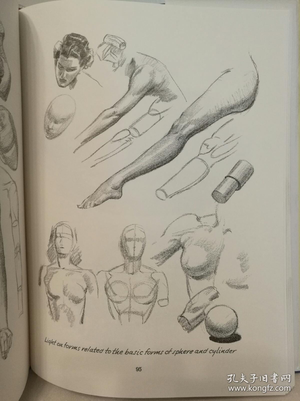 经典素描教材 successful drawing by andrew loomis (绘画)英文原版