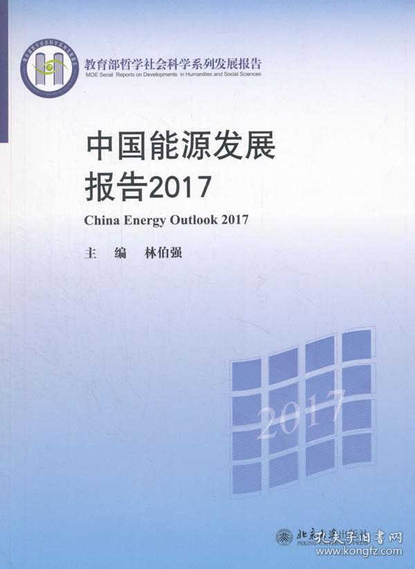 中国能源发展报告2017