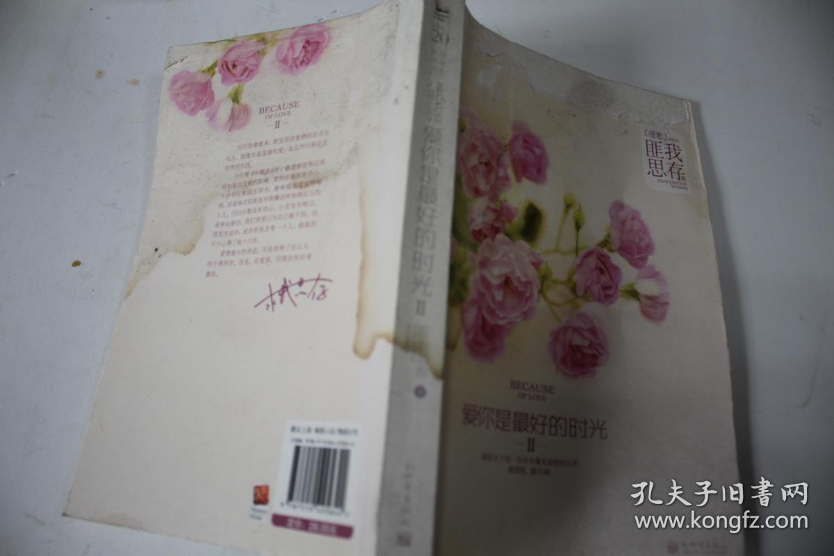 爱你是最好的时光Ⅱ