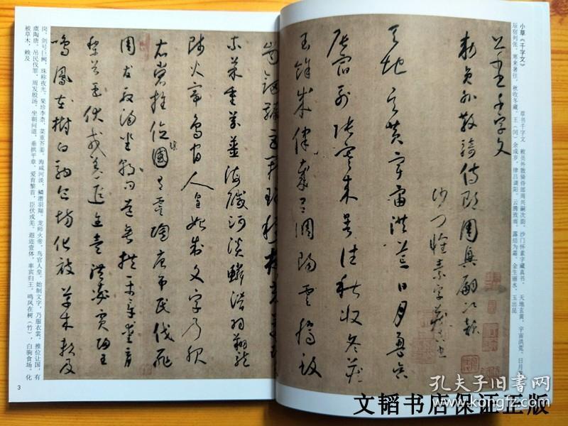 正版中国历代名家书法名帖怀素大小草千字文草书论书帖自叙帖