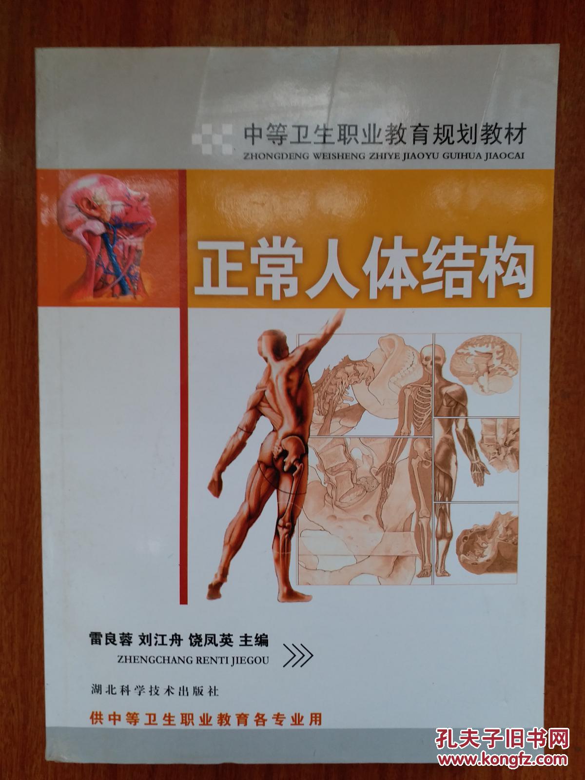 正常人体结构