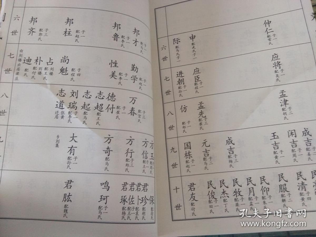 《刘氏族谱》(刘家桥刘氏家谱 仁义堂)【看图描述】