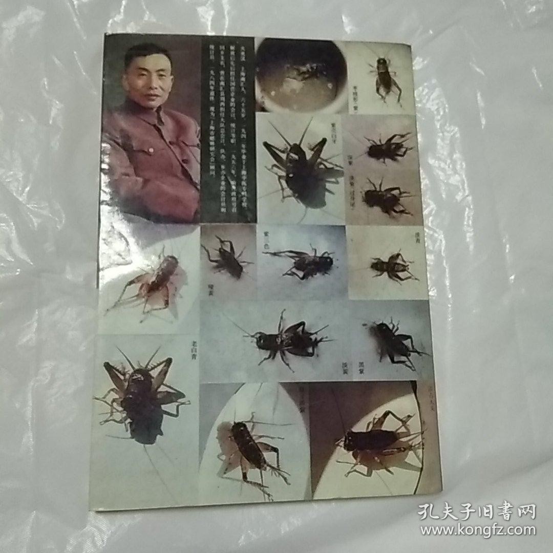 60年经验谈蟋蟀选养斗