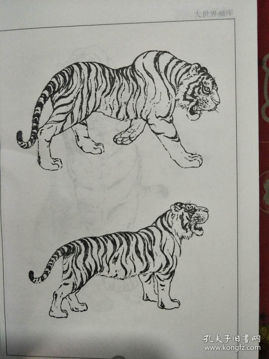 画虎技法资料