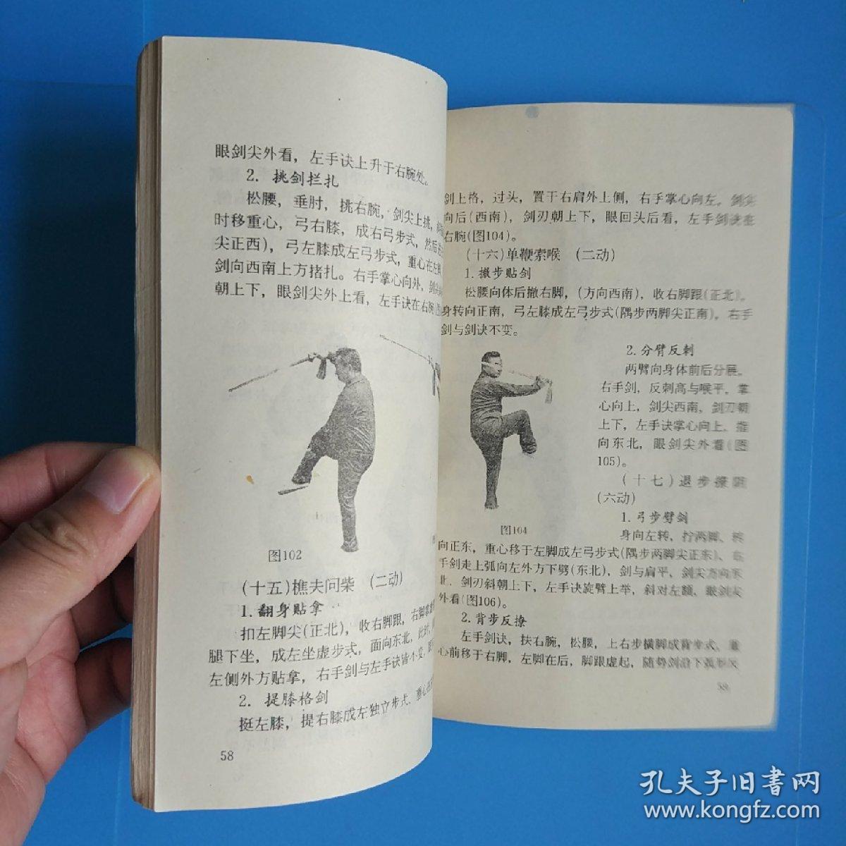 演示图解形式附录杨禹廷老师演练太极剑珍贵遗照12幅,杨氏十三刀名称)