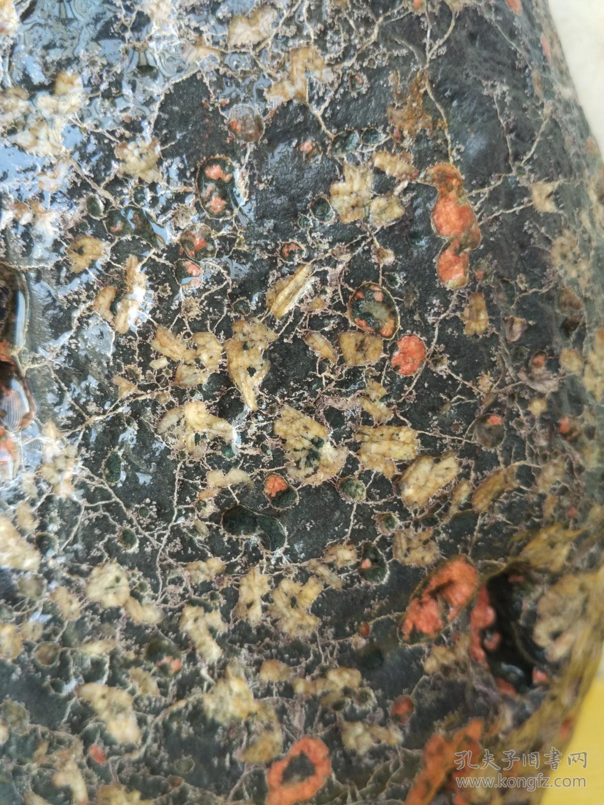 洛阳珍品梅花石原石"经典绿梅"(石型好,花型好,色彩好