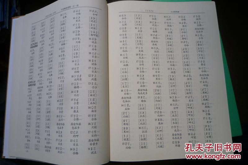 中国彝族谱牒·石一谱