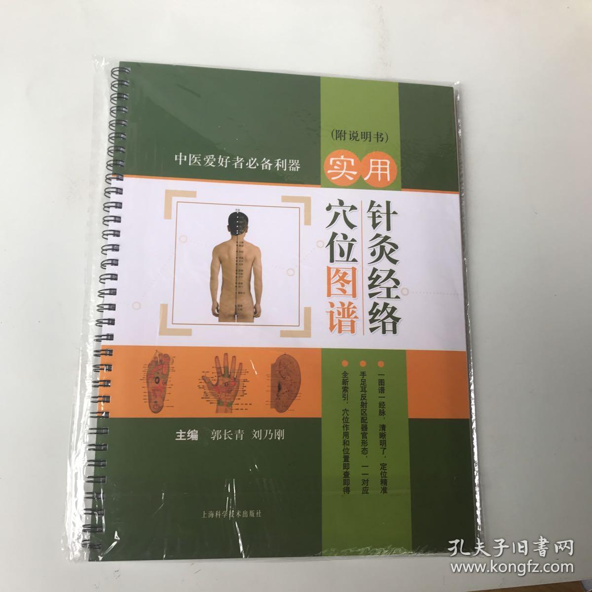 实用针灸经络穴位图谱