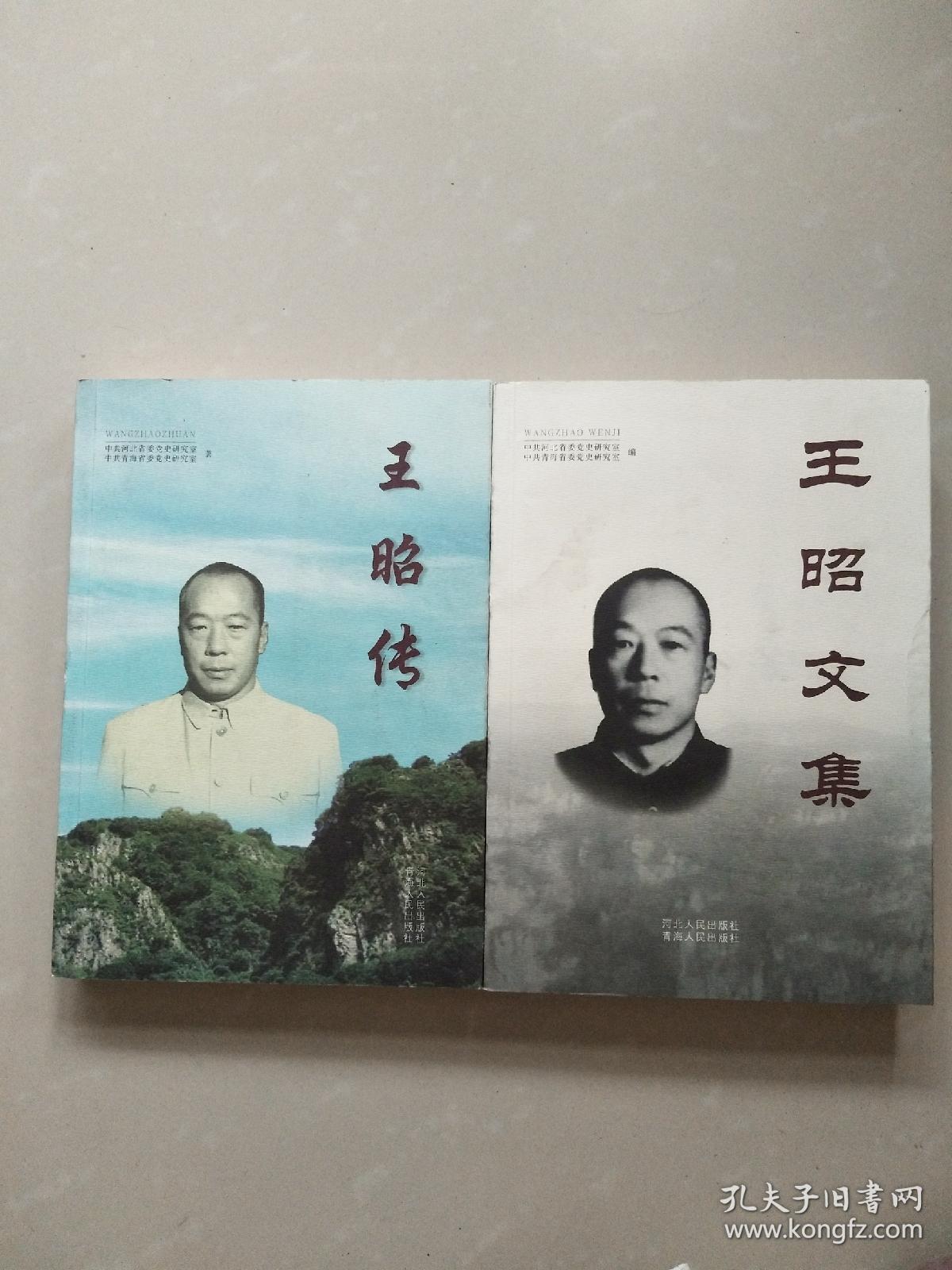 王昭文集,王昭传(两本合售)