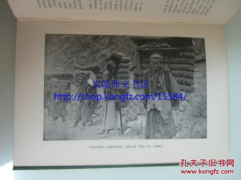 【图】1910年英文《茶:从种植到消费》--- 29幅