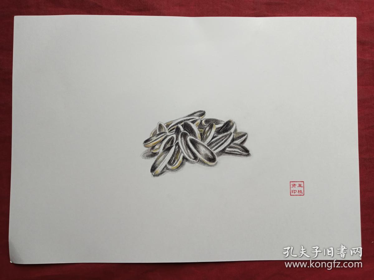 王桂贤彩铅画--黑瓜子2018年