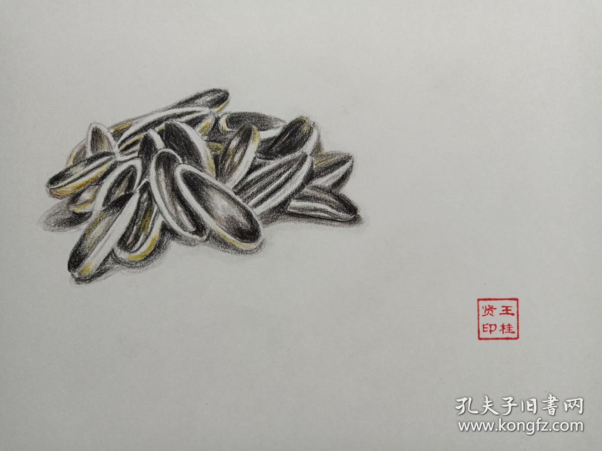 王桂贤彩铅画黑瓜子2018年