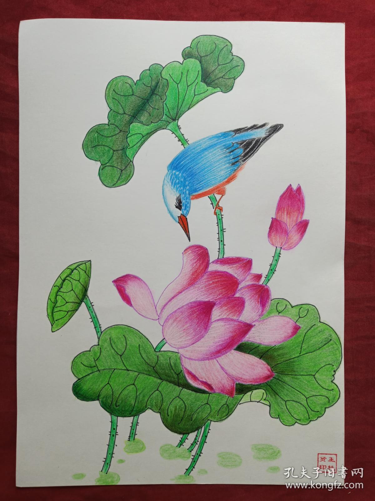 王桂贤彩铅画--莲花翠鸟2018年