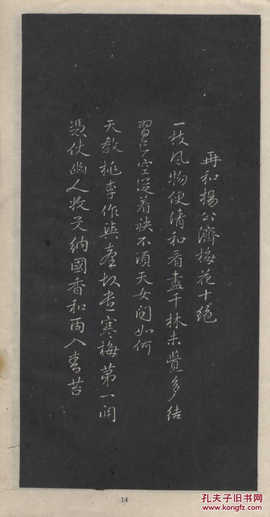 赵孟頫行书梅花诗