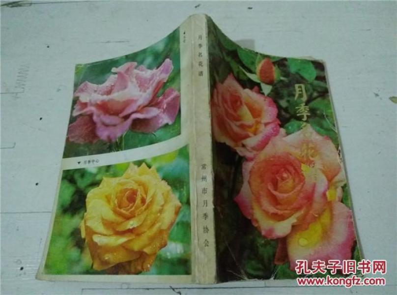 名花简谱_倾国名花简谱
