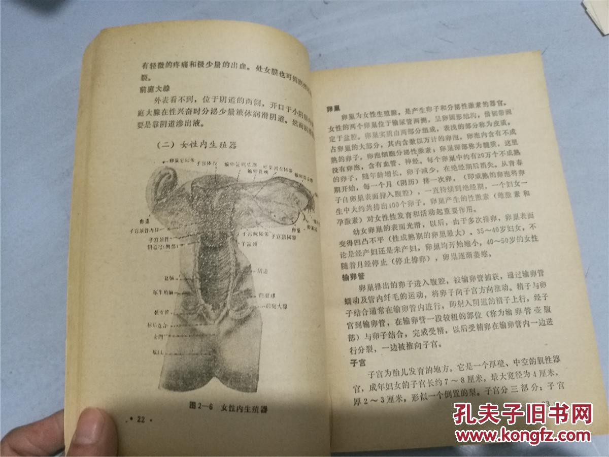 性知识手册(1985年印,八五品)