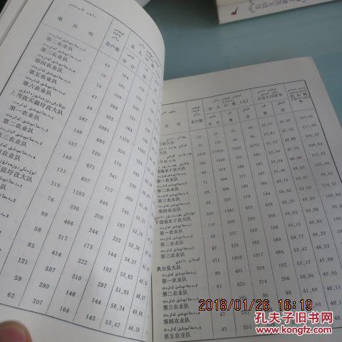 新疆人口总人数表格(3)