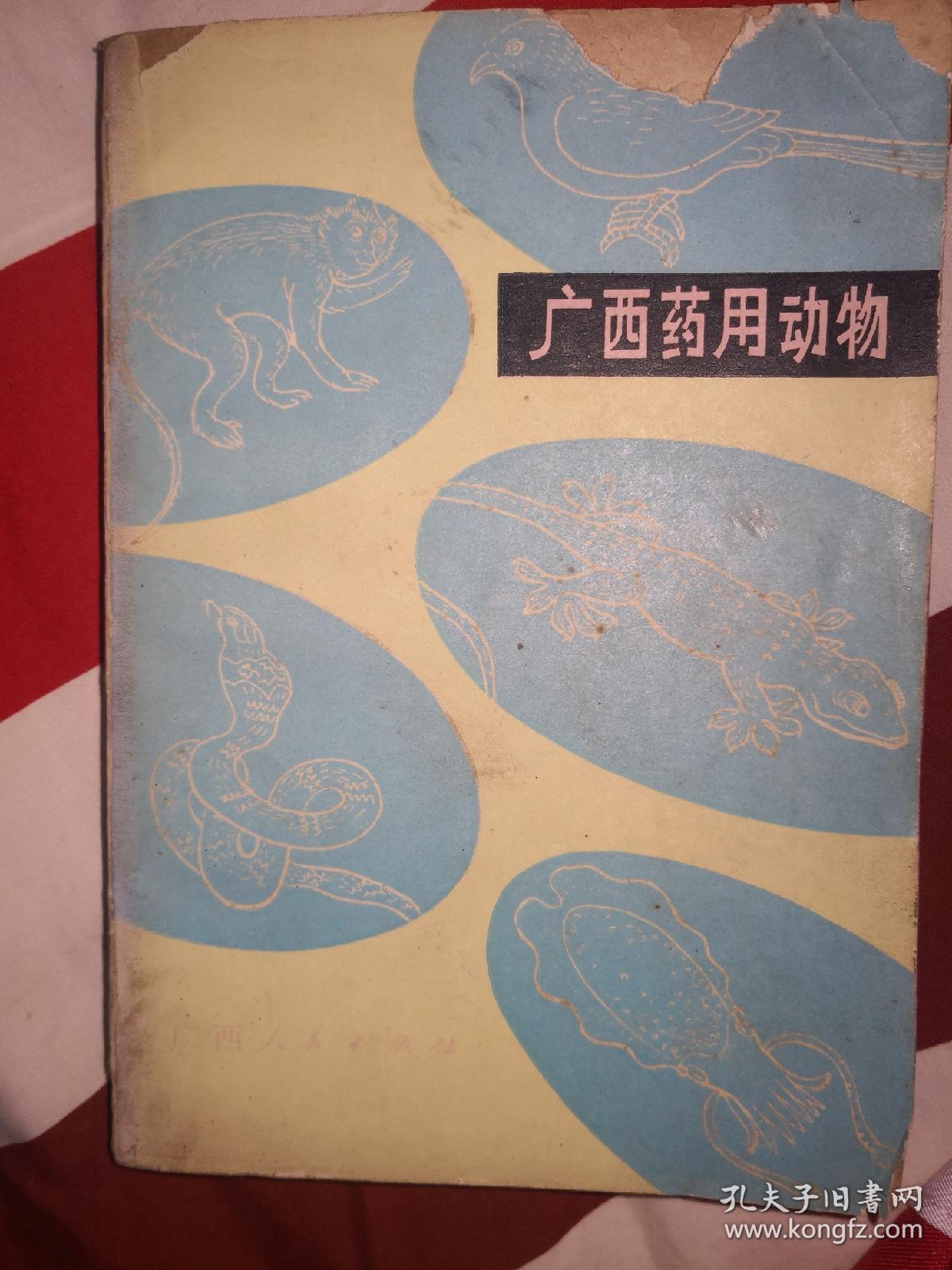 广西药用动物【封面有损】其余品相很好