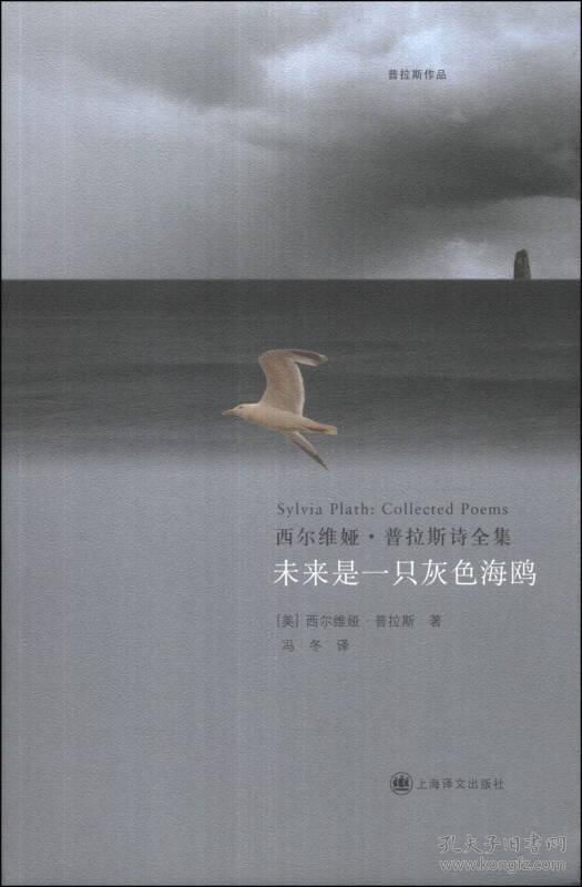 未来是一只灰色海鸥:西尔维娅·普拉斯诗全集