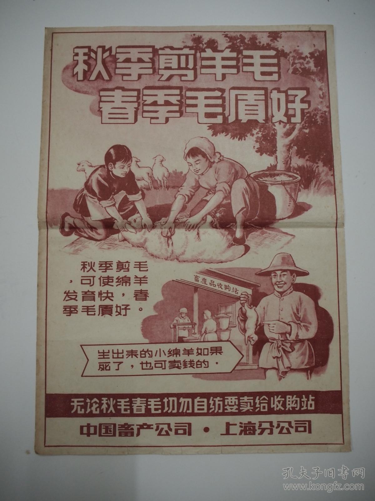 六十年代中国畜产公司上海分公司收购羊毛广告