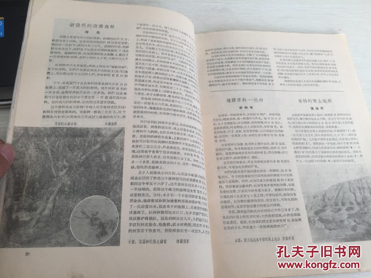 塘江畔,我们到了凉山彝族自治州,游西安,横过渤