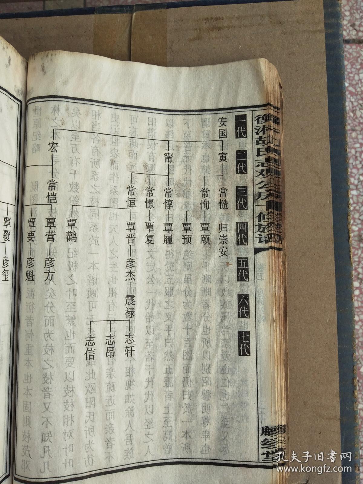胡氏族谱【麟经堂】湖南衡湘 志观公支 (卷五) 线装 双折页 16开 60页