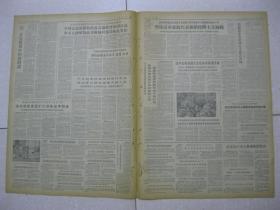 京剧芦荡火种第四场曲谱_沪剧芦荡火种剧照(2)