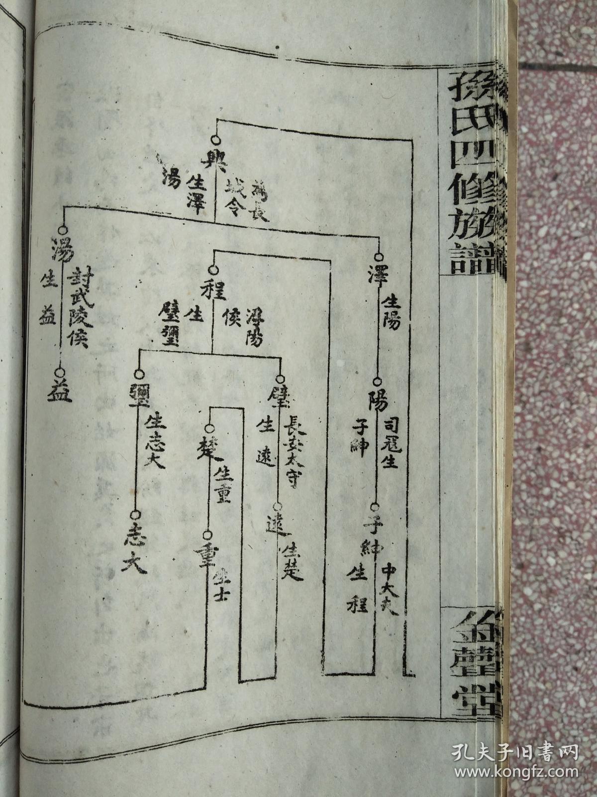 孙氏族谱【金声堂】湖南湘乡 应雷公支 十一本 线装 双折页 16开 1190