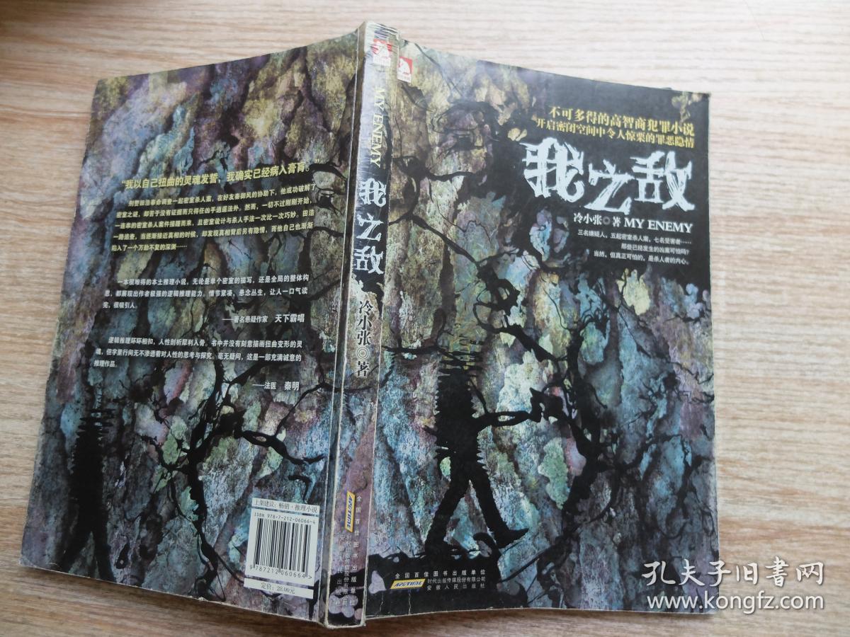 我之敌:不可多得的高智商犯罪小说,开启密闭空