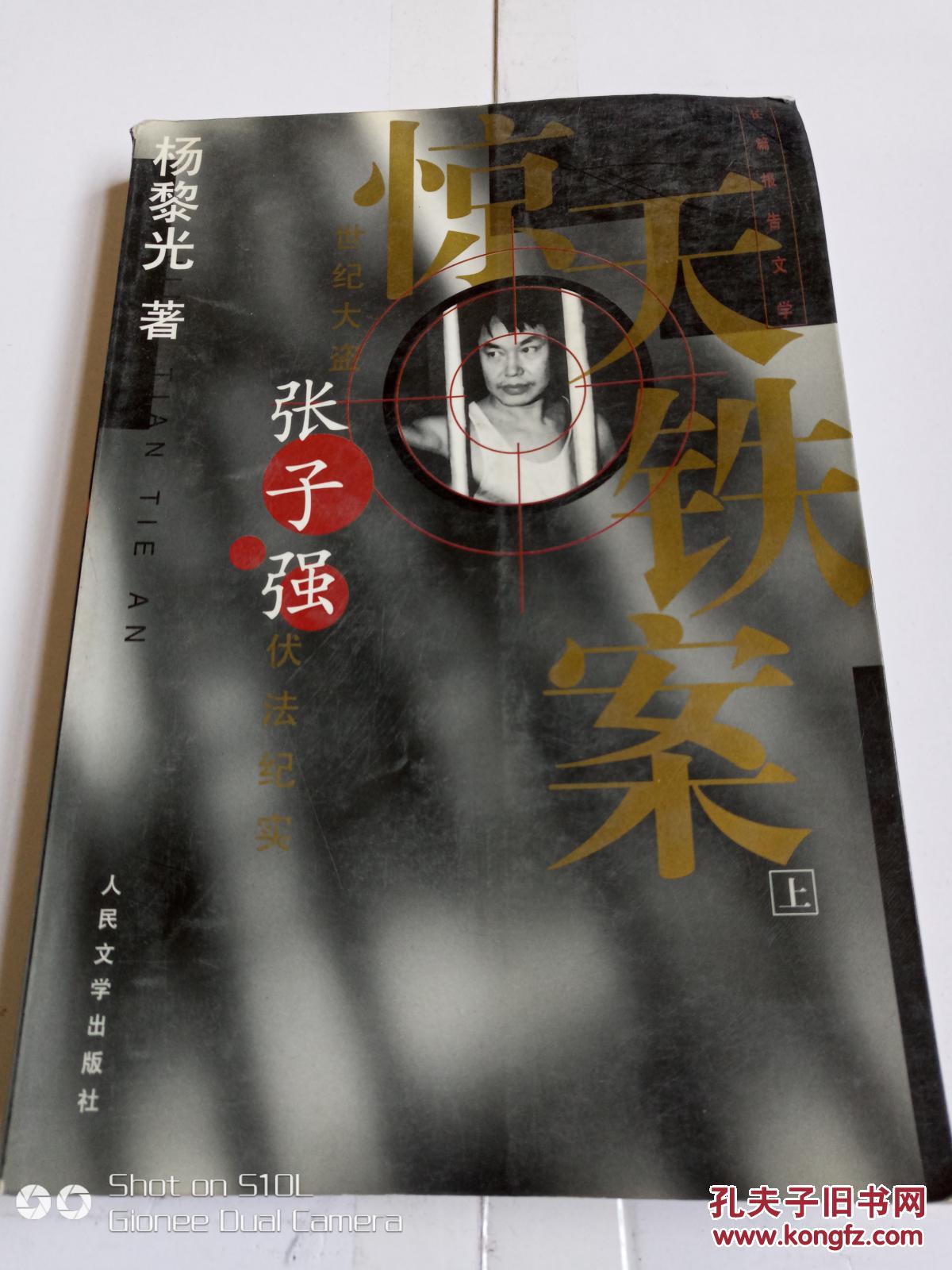 惊天铁案:世纪大盗张子强伏法记实 长篇报告文学上