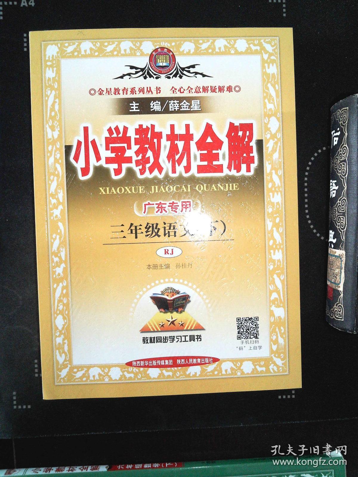 小学教材全解 三年级语文下 人教版 rj 三年级下册 三下 小学教材全解