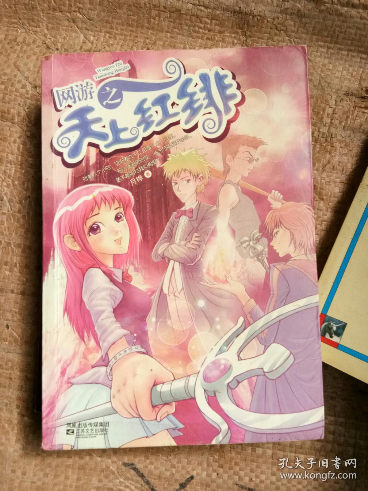 网游之天上红绯